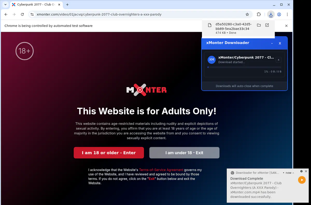Xmonter Video Downloader screenshot 2