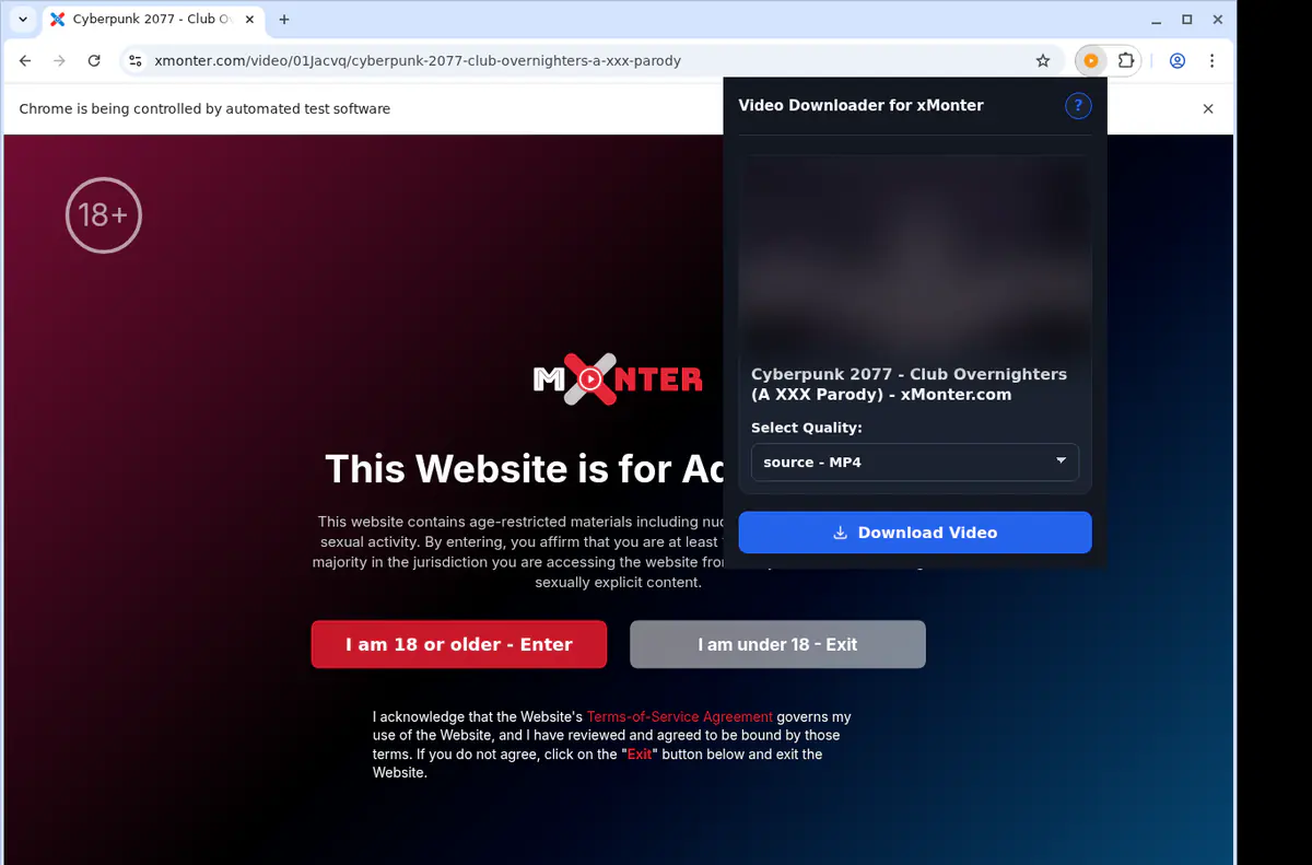 Xmonter Video Downloader screenshot 3