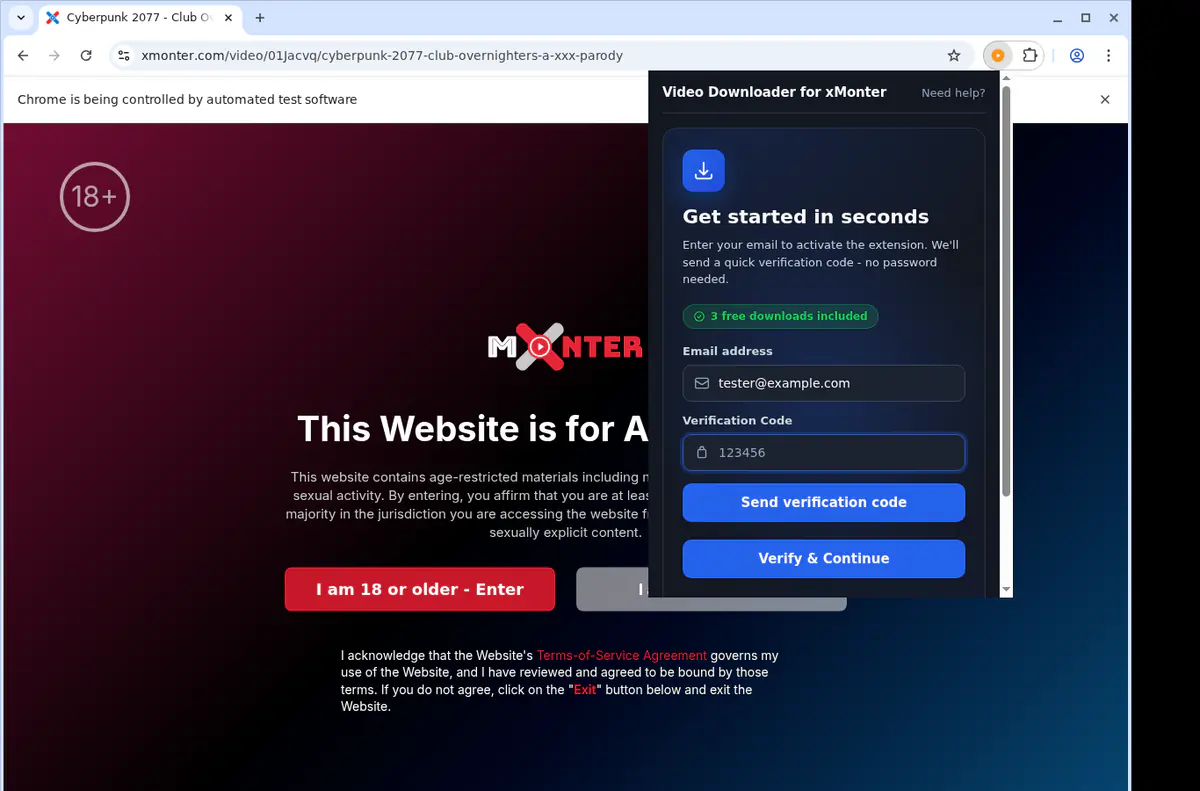 Xmonter Video Downloader screenshot 4