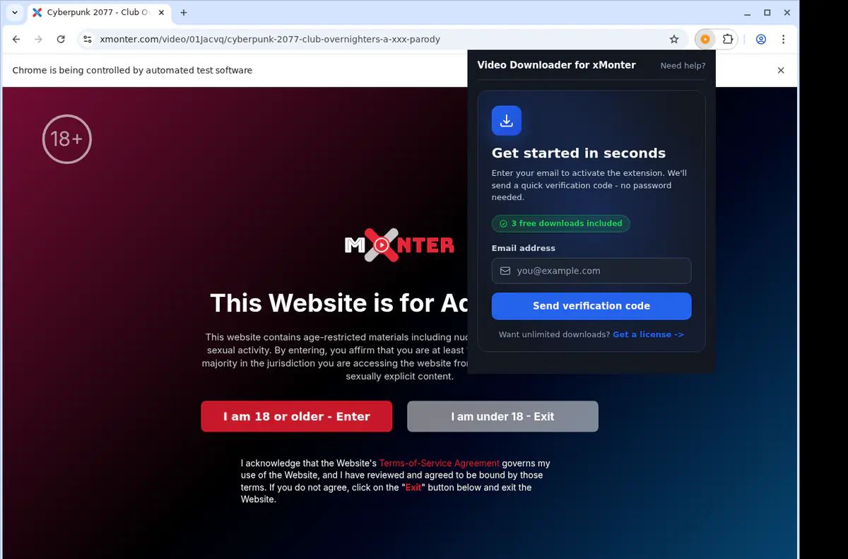 Xmonter Video Downloader screenshot 5